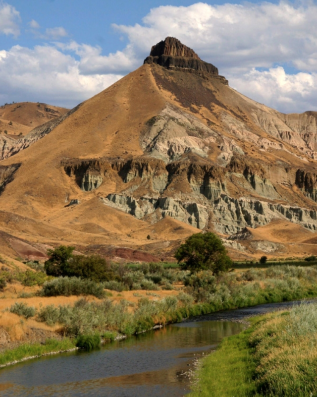 Fossil Beds 640x801