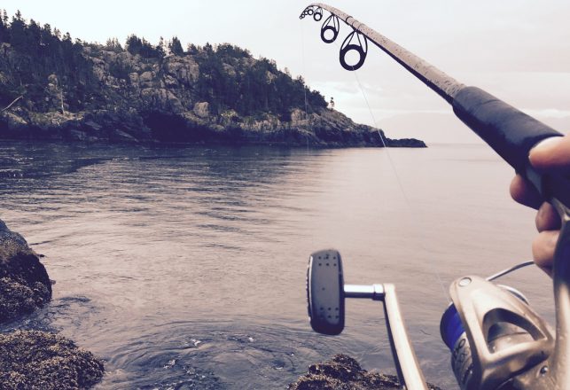 Lake Champlain Monster Picked Up On Sonar Near Fish With Two Mouths