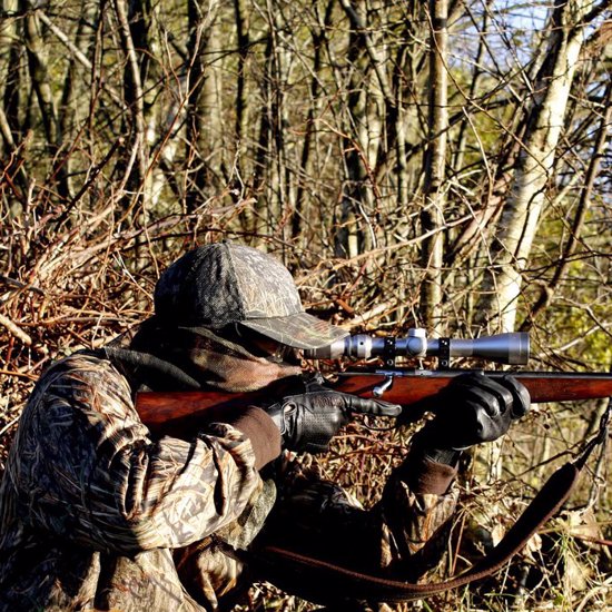 Hunt for Bigfoot in Kentucky Park Ends in Gunfire