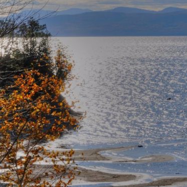 “Water Horse of Lake Champlain” – An Excellent New Book on a Famous Lake Monster