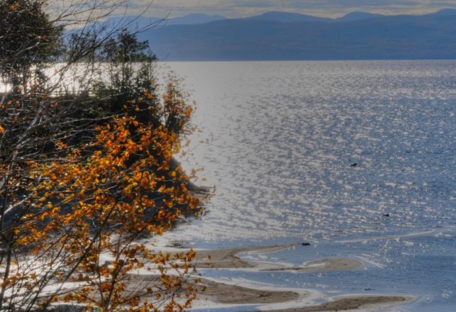 “Water Horse of Lake Champlain” – An Excellent New Book on a Famous Lake Monster