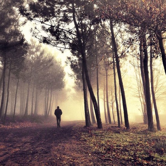 Strange Cases of People Who Vanished Into Thin Air in the Wilderness
