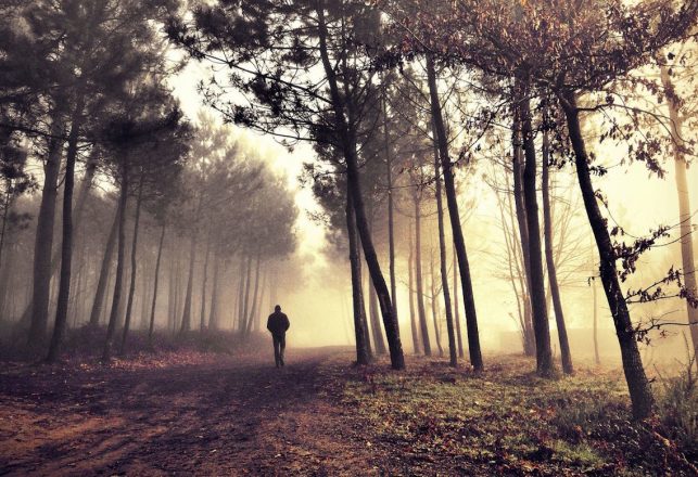 Strange Cases of People Who Vanished Into Thin Air in the Wilderness