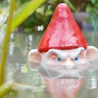 Weird Encounters with Gnomes Both Good and Bad