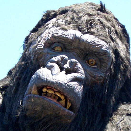 Why King Kong is the King of the Anomalous Apes!
