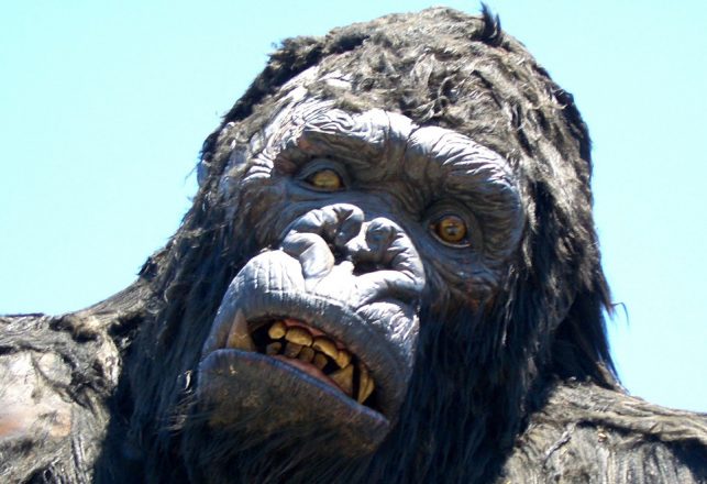 Why King Kong is the King of the Anomalous Apes!