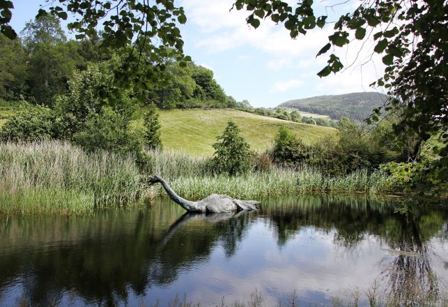 Mysterious 10-Foot-Long Loch Ness-Type Creature Captured On Video