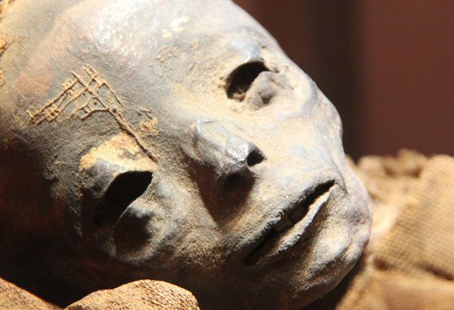 New Study Finds Ancient Mummies Had Modern Diseases