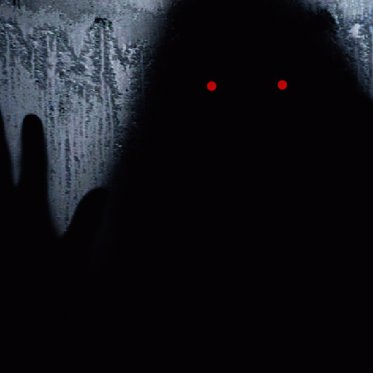 Bizarre Encounters with Black Mass Shadow Entities