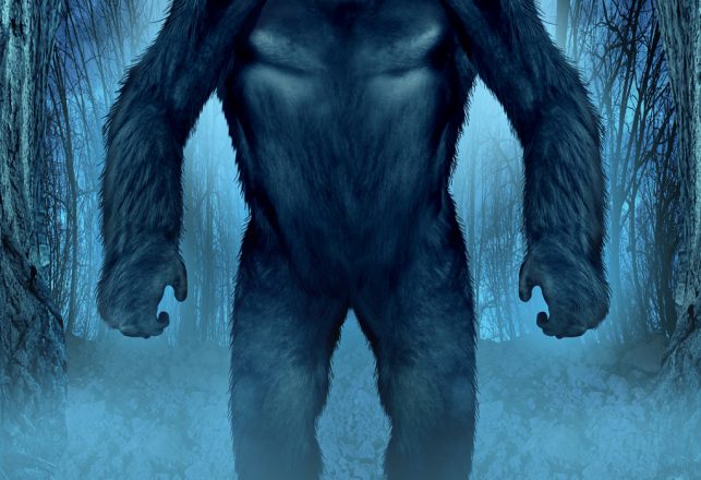 The Historical Bigfoot: A Book Reviewed