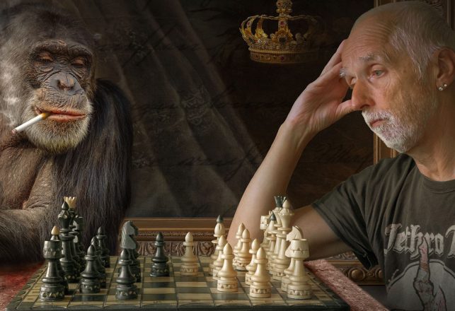 Monkeys Score Better Than Humans in Certain Games