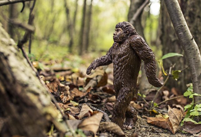 School Children Capture Close-up Video Of A “Bigfoot” Running At Them