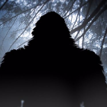 Yowie Hunter Spots 11-Foot-Tall Creature with Superhuman Speed Near Perth