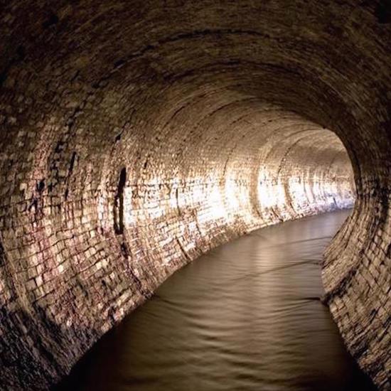 The Mysterious Monster Black Swine of London’s Sewers
