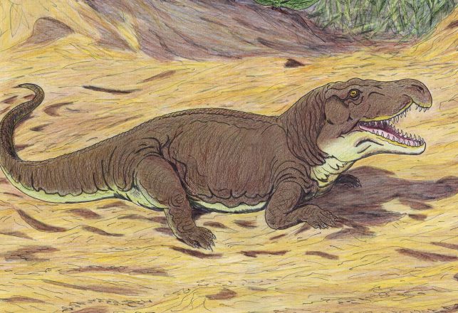 Huge Dragon-Like Creature That Lived Before Dinosaurs Discovered In Russia