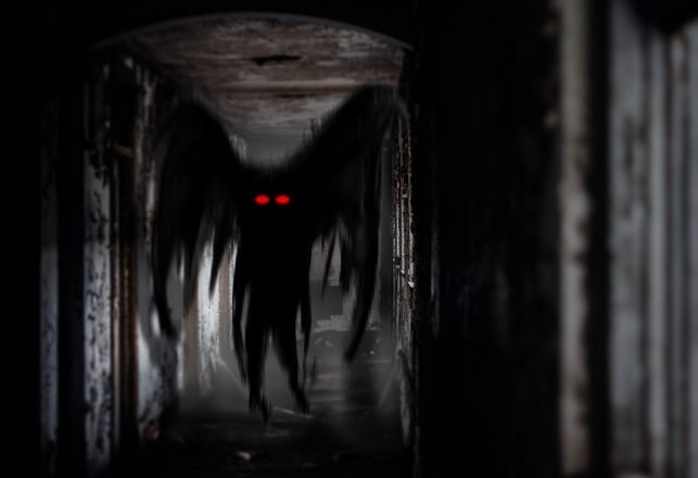 Multiple Reports of Winged Humanoid in Illinois