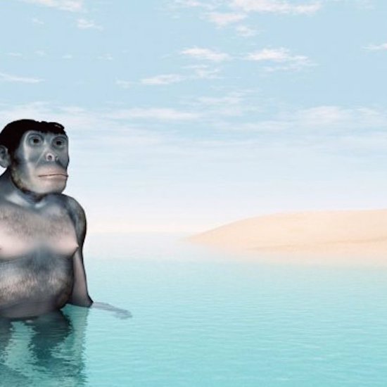 The Bizarre Hypothesis of the Aquatic Ape