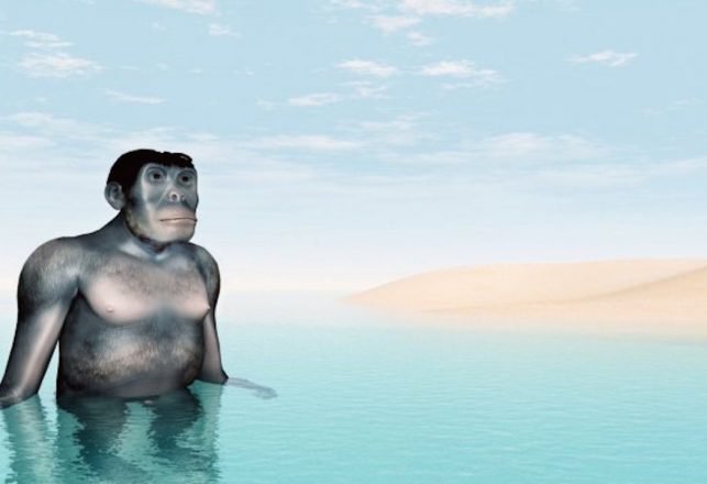 The Bizarre Hypothesis of the Aquatic Ape