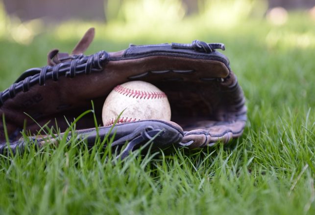 Pro Baseball Player Jordy Mercer Photographs What Looks Like Bigfoot