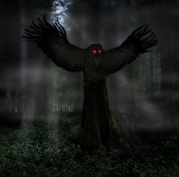mothman owl man ufo 2320893 570x564