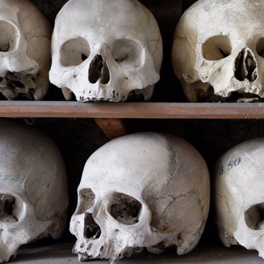 First Intact Skull of Tiny Human Ancestor Homo Naledi Discovered