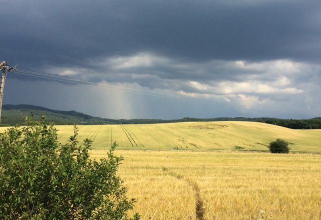 Mysterious Green Ghost Crop Circles Appear in the UK