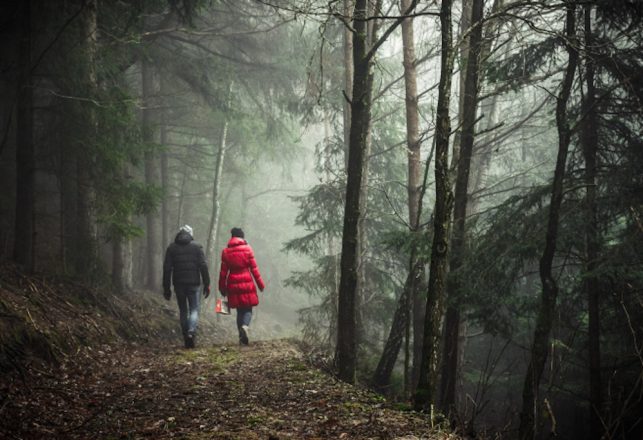 Weird Cases of Hikers Almost Abducted by Paranormal Forces