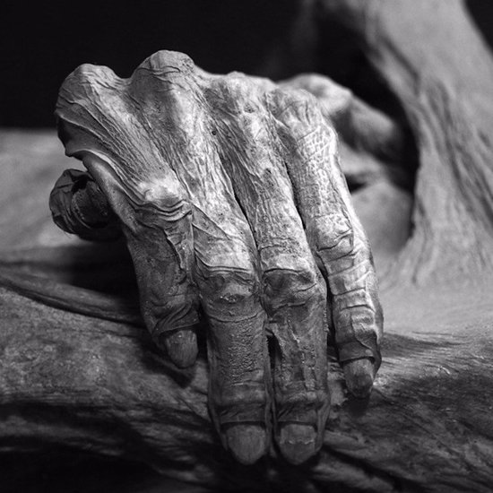 Some Odd and Spooky Cases of Cursed Mummy Hands
