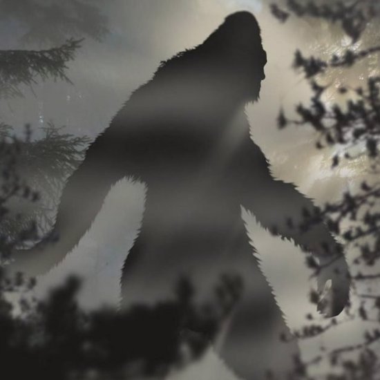 When Bigfoot, UFOs and Aliens Clash: The Elephant in the Room