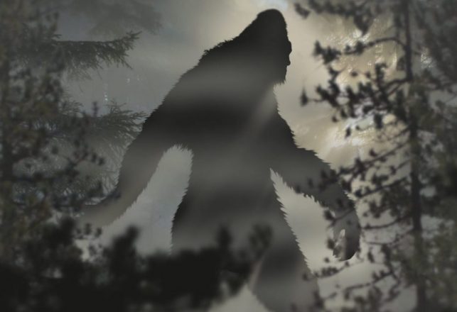 When Bigfoot, UFOs and Aliens Clash: The Elephant in the Room