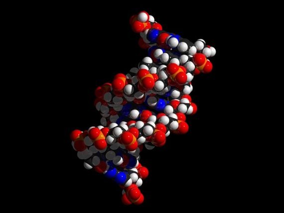 DNA amino acid 1 570x428