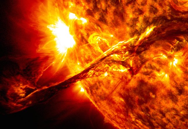 Bizarre Speculation on Lifeforms on the Sun