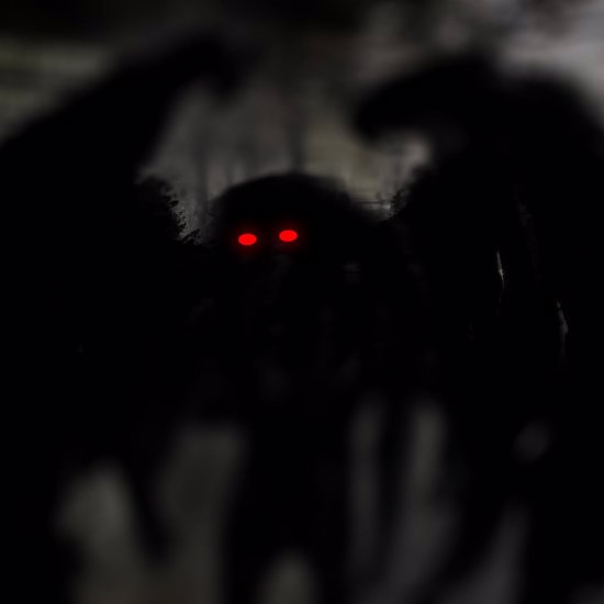 Chicago Truck Driver Claims To Have Encountered The Mothman