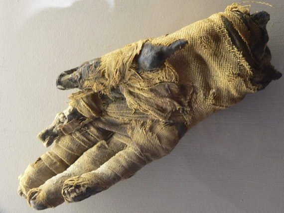 Mummy Hand 700x525