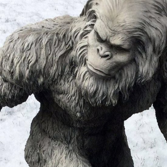Russian Running Bigfoot Video Update – “They hit the Yeti!”
