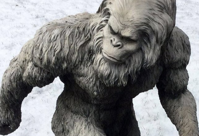 Russian Running Bigfoot Video Update – “They hit the Yeti!”