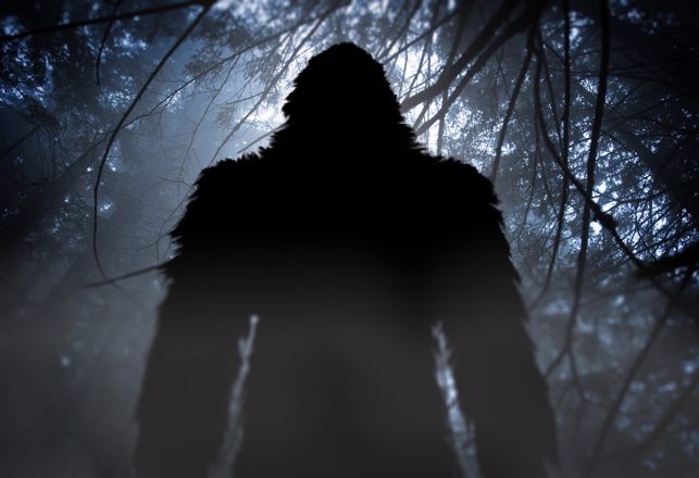 Man Captures Video Footage Of Possible Yowie In Australian Forest