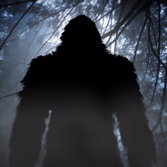 Is It Bigfoot? Strange Figure Caught On Washington State Traffic Camera