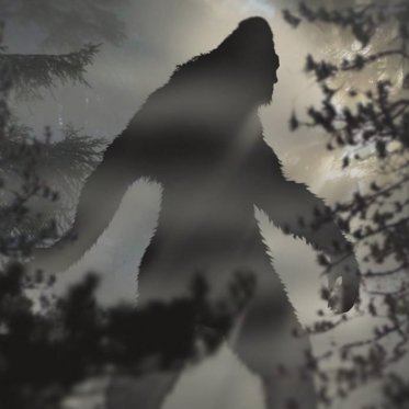 Michigan Bigfoot Video Shows What Looks Like a Sasquatch Carrying an Infant