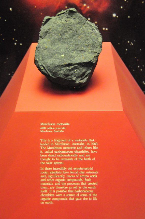 Murchison Meteorite 570x858