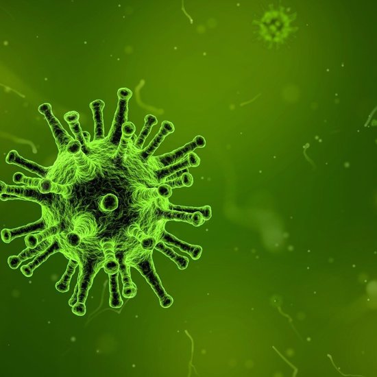 Nostradamus Predicted Killer Virus As Coronavirus Continues To Spread