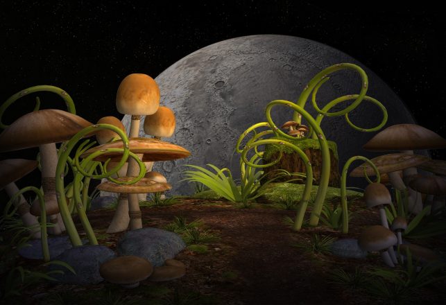 Shroom Rooms on the Moon?