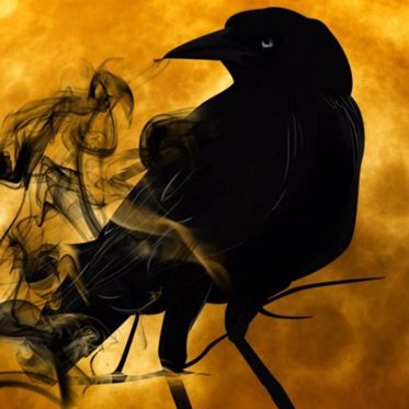 Tower of London Raven Feared Dead — Is Britain Doomed to Follow?