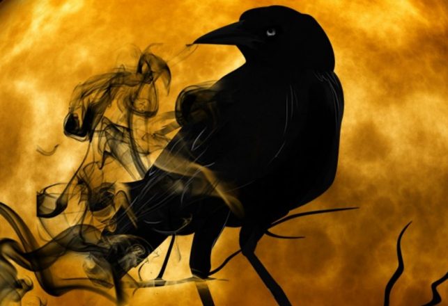 Tower of London Raven Feared Dead — Is Britain Doomed to Follow?