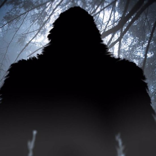 Infamous Bigfoot Porn Politician Now Writes About Bigfoot Believers and Conspiracy Theories