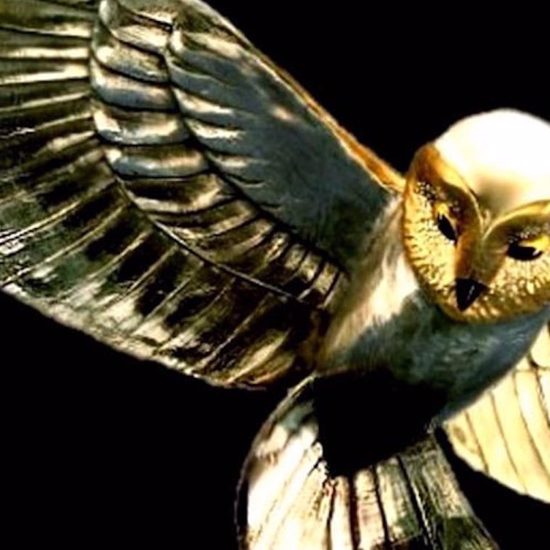 The Search for the Mysterious Golden Owl