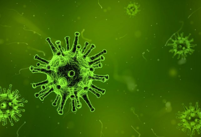 Scientists Discover Mysterious Virus In Brazil With No Known Genes