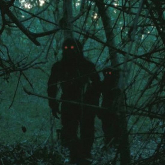 An Interview on the Mysterious “British Bigfoot”