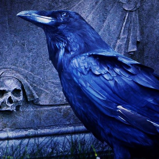 Quoth the Raven: “Edgar Allan Poe’s Suicide Theory May Be Nevermore”