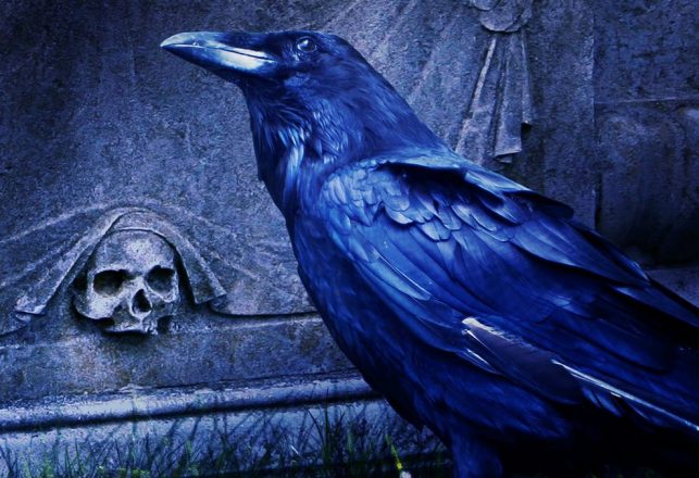 Quoth the Raven: “Edgar Allan Poe’s Suicide Theory May Be Nevermore”